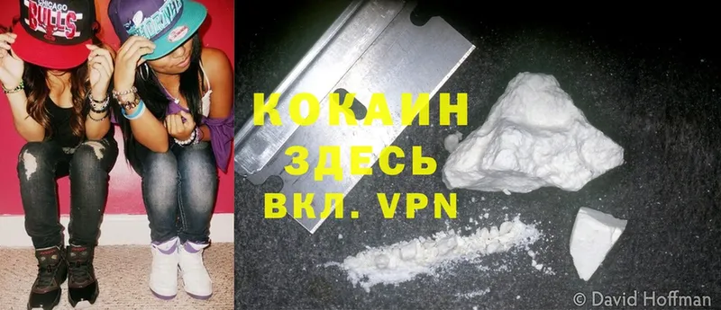 KRAKEN сайт  купить закладку  Печора  Cocaine Fish Scale 